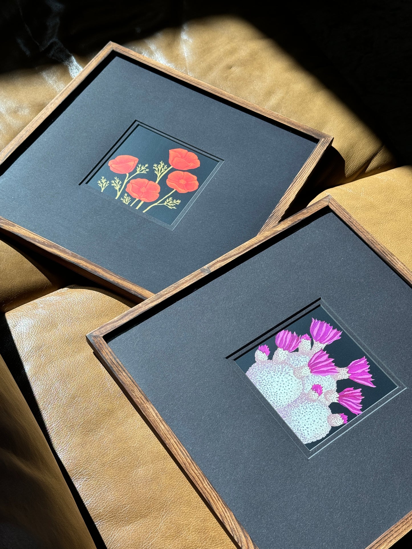 California Poppies In Bloom Print
