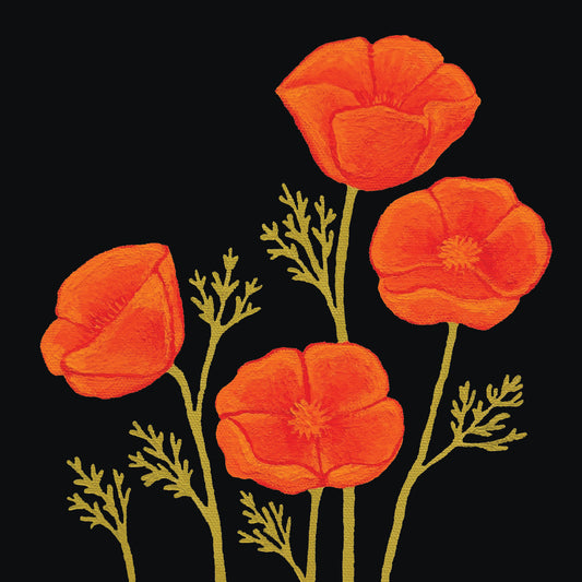 California Poppies In Bloom Print