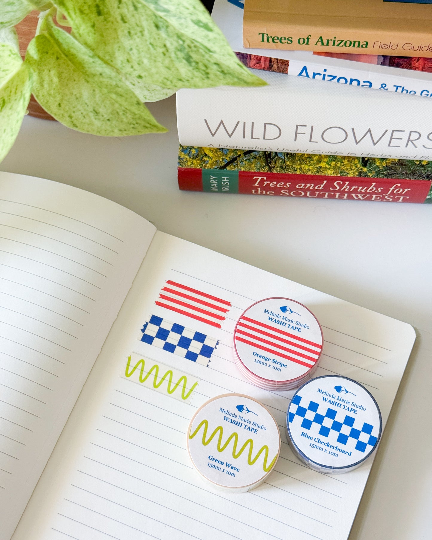 Three small tapes with labels on an open notebook, with books about nature in the background.
