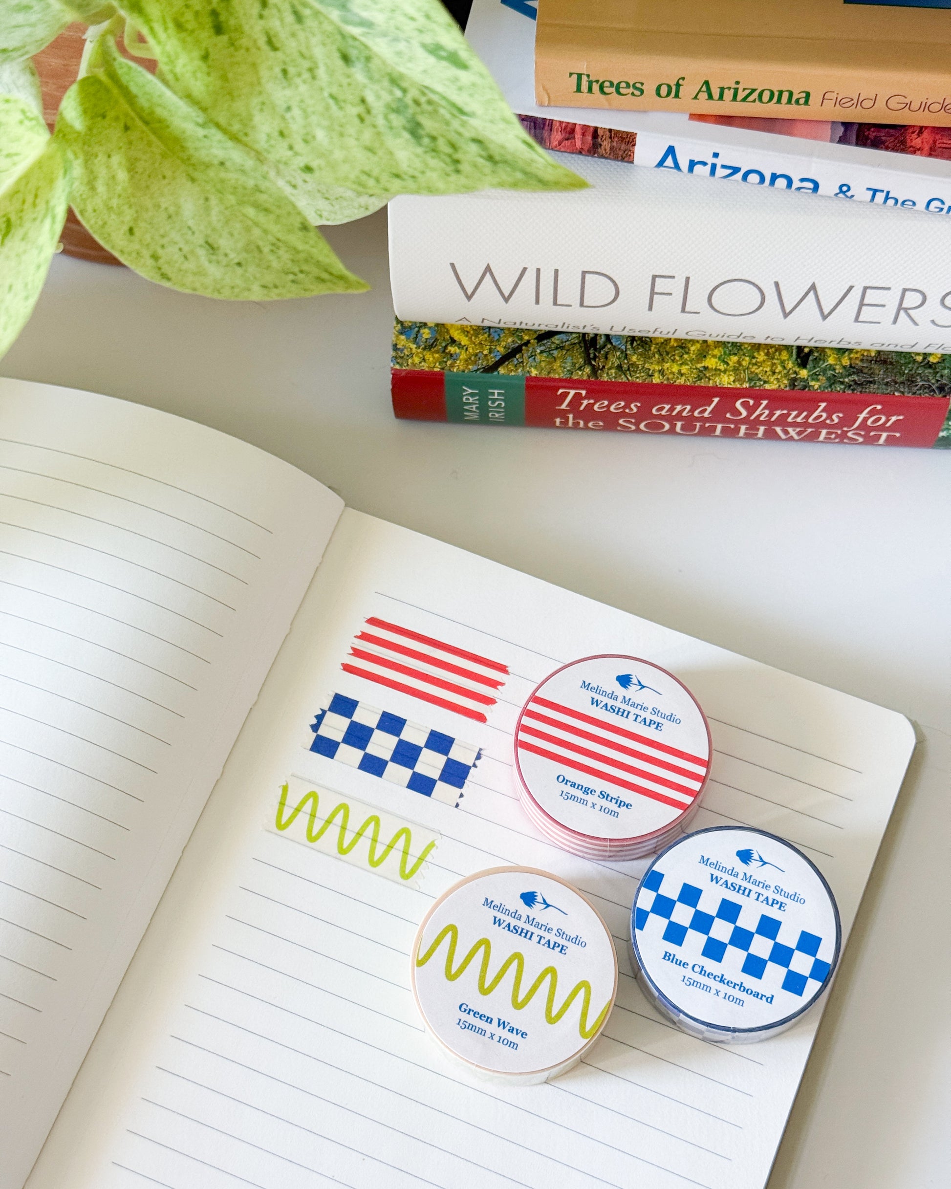 Three small tapes with labels on an open notebook, with books about nature in the background.