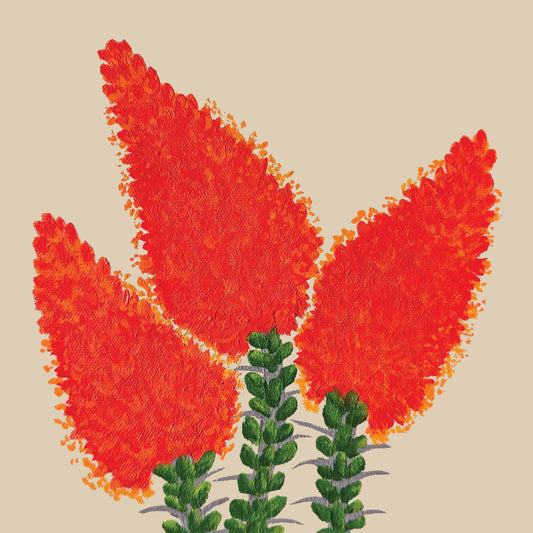 Ocotillo In Bloom Print