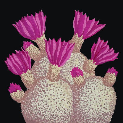 Prickly Pear In Bloom Print