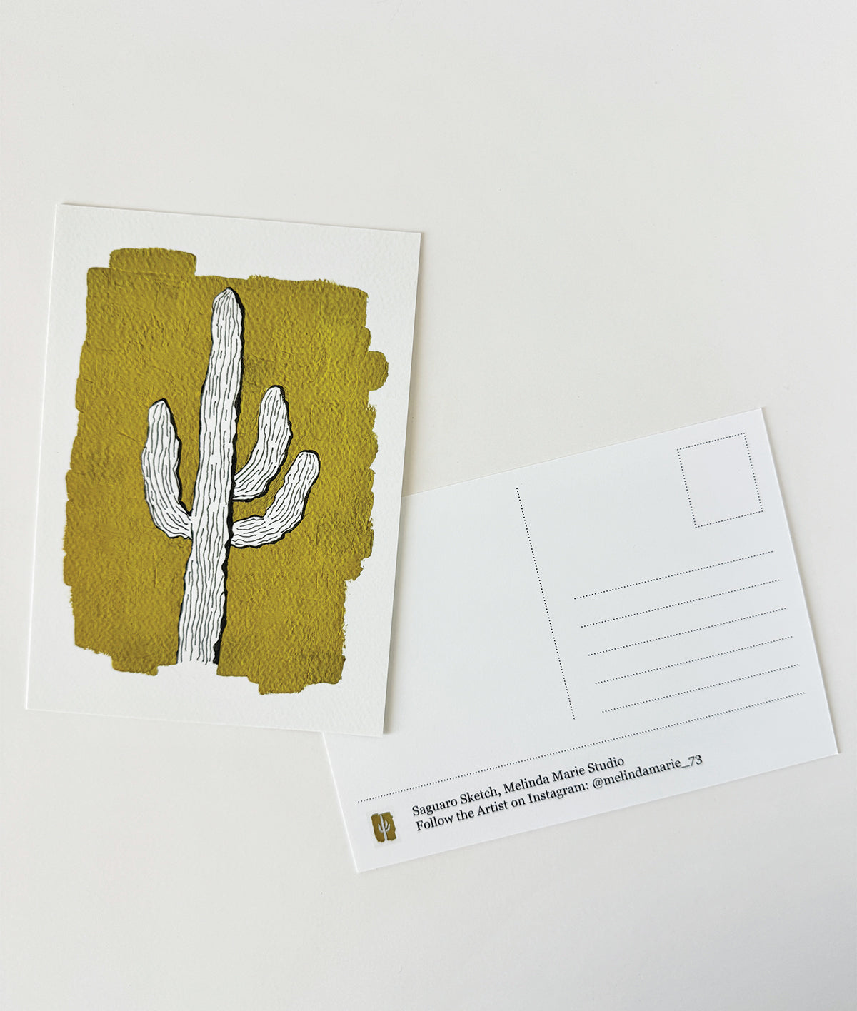 Saguaro Sketch Postcard